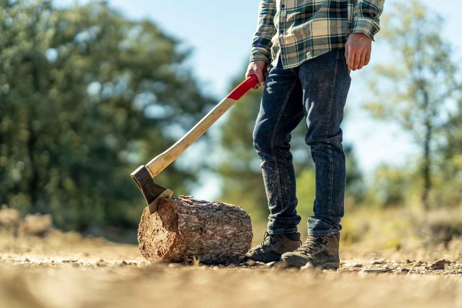 Best Tree Cutting Near Me  in Jacksonville, FL